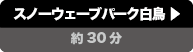 スノーウェーブパーク白鳥